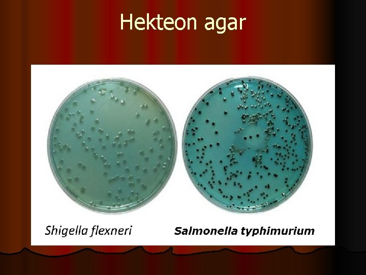 Hekteon agar 