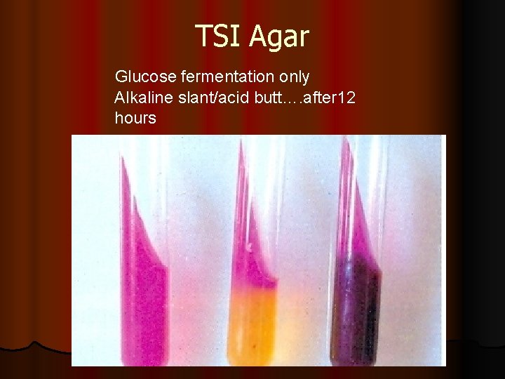 TSI Agar Glucose fermentation only Alkaline slant/acid butt…. after 12 hours 