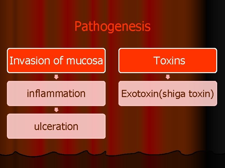 Pathogenesis Invasion of mucosa Toxins inflammation Exotoxin(shiga toxin) ulceration 