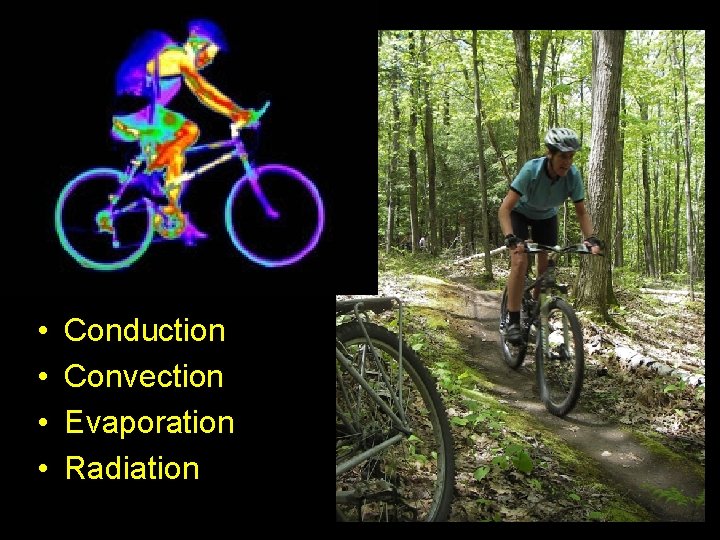  • • Conduction Convection Evaporation Radiation 