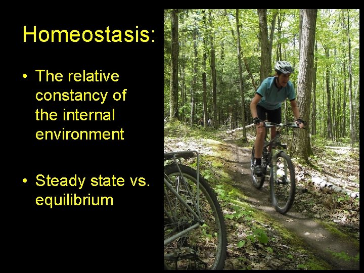 Homeostasis: • The relative constancy of the internal environment • Steady state vs. equilibrium