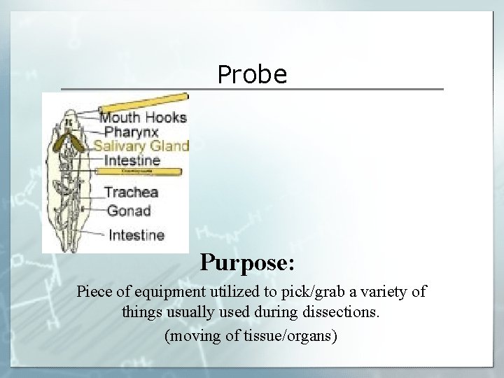 Probe Purpose: Piece of equipment utilized to pick/grab a variety of things usually used Probe Purpose: Piece of equipment utilized to pick/grab a variety of things usually used