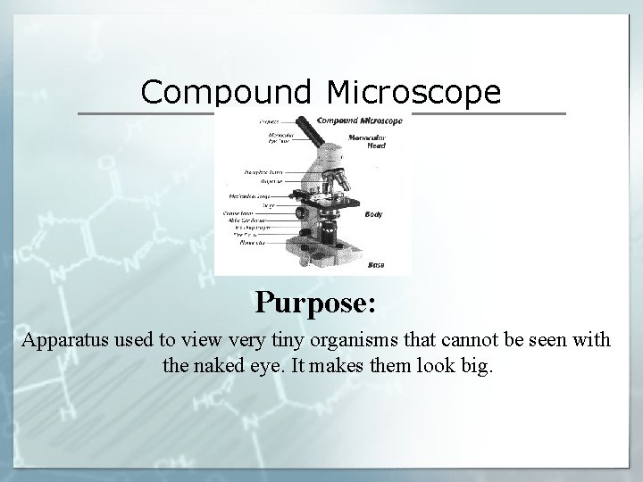Compound Microscope Purpose: Apparatus used to view very tiny organisms that cannot be seen Compound Microscope Purpose: Apparatus used to view very tiny organisms that cannot be seen