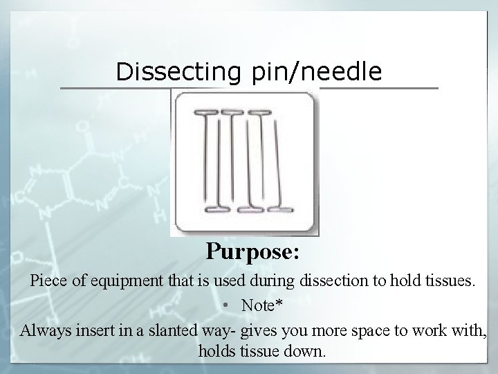 Dissecting pin/needle Purpose: Piece of equipment that is used during dissection to hold tissues. Dissecting pin/needle Purpose: Piece of equipment that is used during dissection to hold tissues.