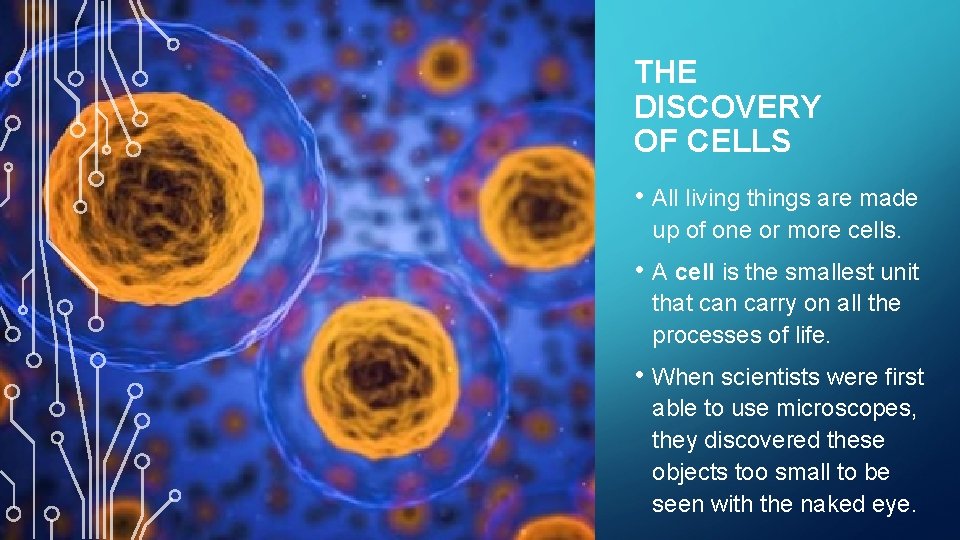 THE DISCOVERY OF CELLS • All living things are made up of one or