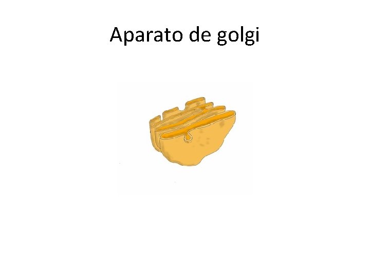 Aparato de golgi 