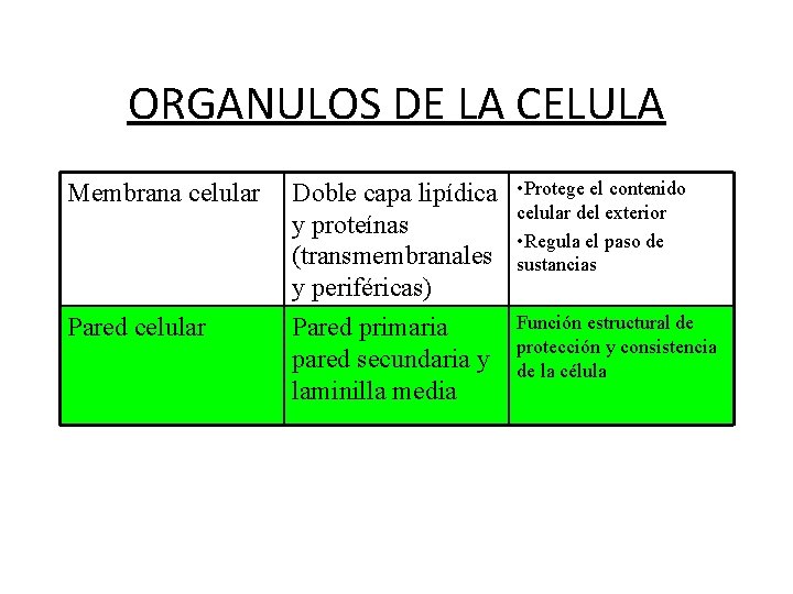 ORGANULOS DE LA CELULA Membrana celular Doble capa lipídica y proteínas (transmembranales y periféricas)