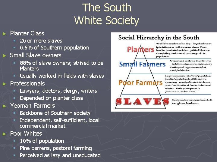 The South White Society ► Planter Class § 20 or more slaves § 0.