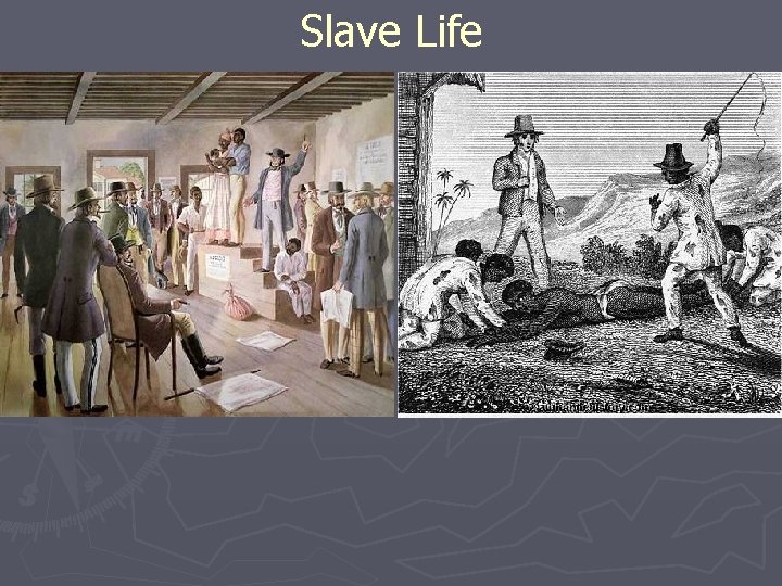 Slave Life 