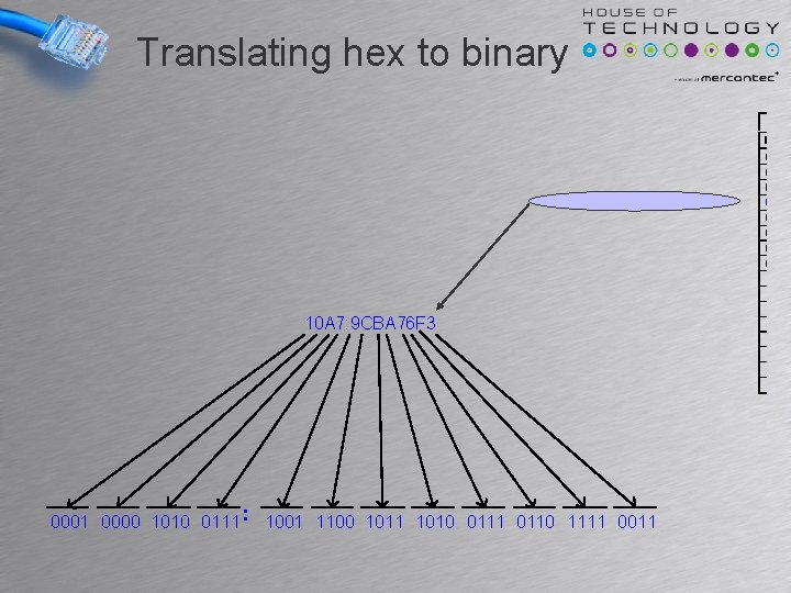 Translating hex to binary 10 A 7: 9 CBA 76 F 3 0001 0000 Translating hex to binary 10 A 7: 9 CBA 76 F 3 0001 0000