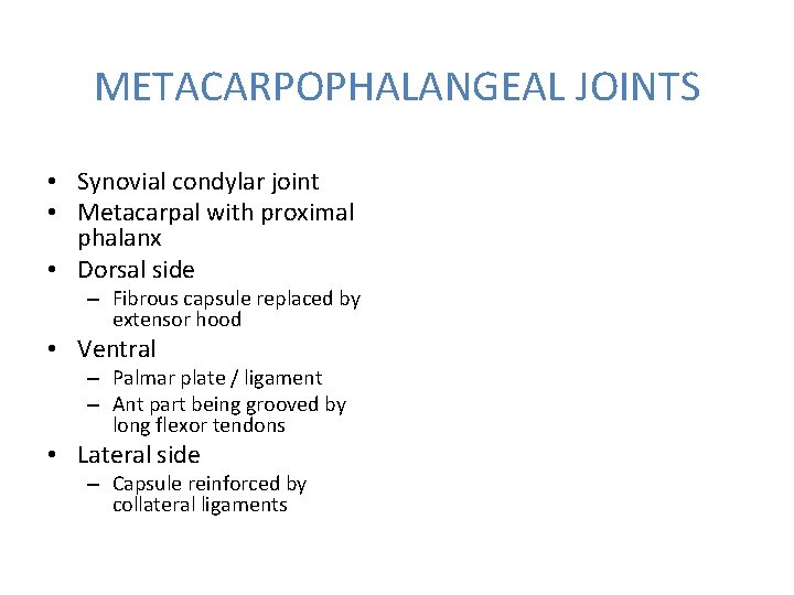 METACARPOPHALANGEAL JOINTS • Synovial condylar joint • Metacarpal with proximal phalanx • Dorsal side