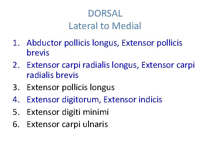 DORSAL Lateral to Medial 1. Abductor pollicis longus, Extensor pollicis brevis 2. Extensor carpi