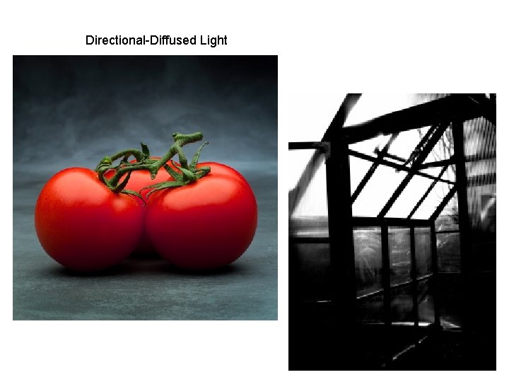 Directional-Diffused Light 