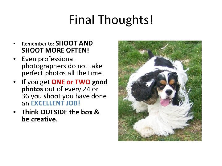 Final Thoughts! AND SHOOT MORE OFTEN! • Even professional photographers do not take perfect