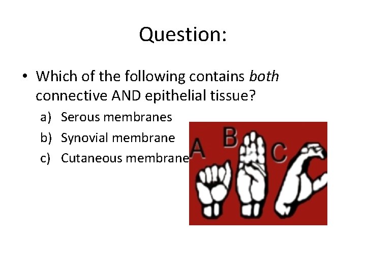 Question: • Which of the following contains both connective AND epithelial tissue? a) Serous