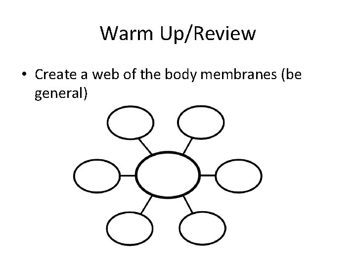Warm Up/Review • Create a web of the body membranes (be general) 