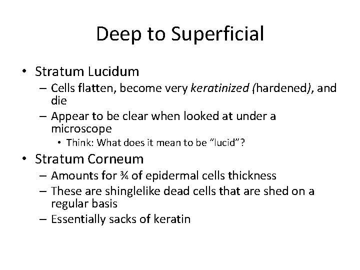 Deep to Superficial • Stratum Lucidum – Cells flatten, become very keratinized (hardened), and