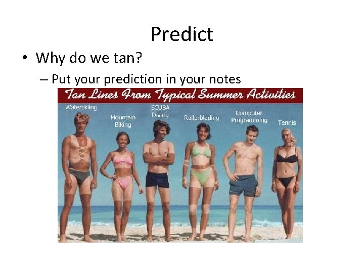  • Why do we tan? Predict – Put your prediction in your notes