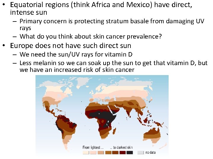  • Equatorial regions (think Africa and Mexico) have direct, intense sun – Primary