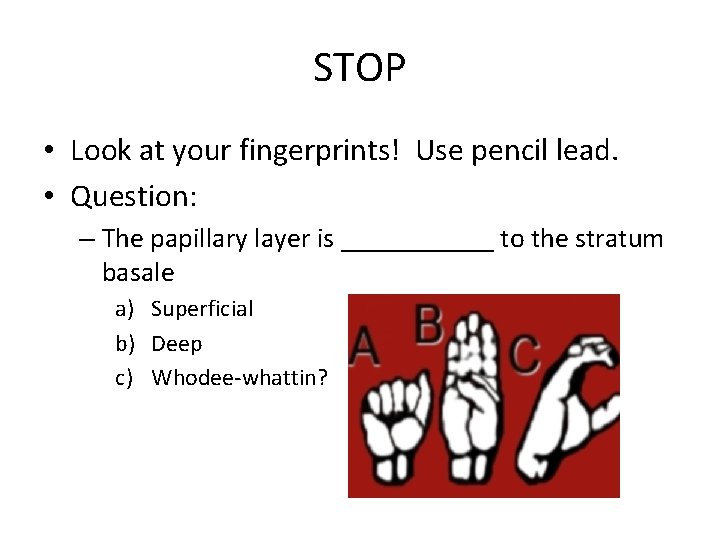 STOP • Look at your fingerprints! Use pencil lead. • Question: – The papillary