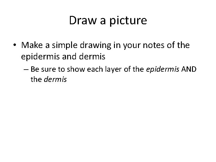 Draw a picture • Make a simple drawing in your notes of the epidermis