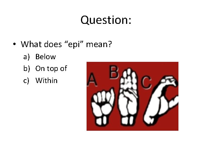 Question: • What does “epi” mean? a) Below b) On top of c) Within