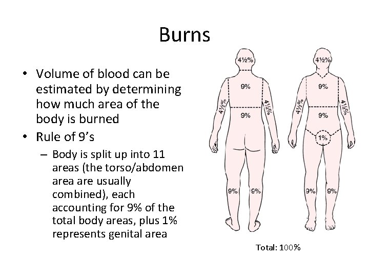 Burns • Volume of blood can be estimated by determining how much area of