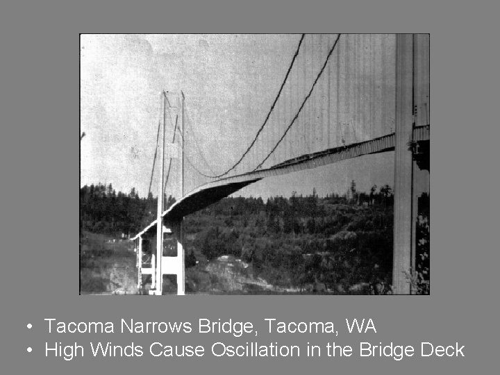  • Tacoma Narrows Bridge, Tacoma, WA • High Winds Cause Oscillation in the