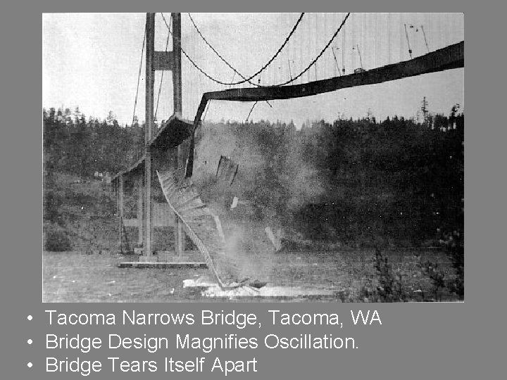  • Tacoma Narrows Bridge, Tacoma, WA • Bridge Design Magnifies Oscillation. • Bridge