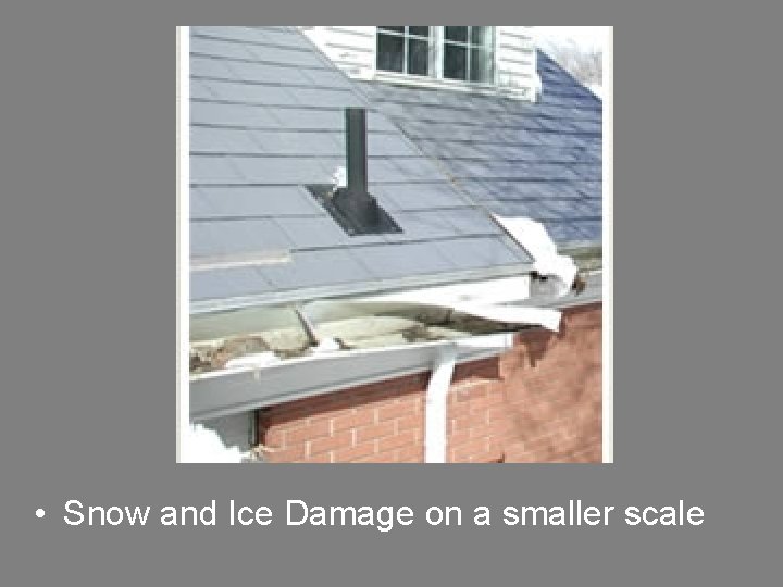  • Snow and Ice Damage on a smaller scale 