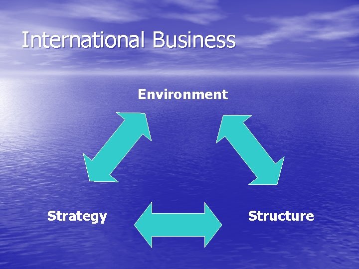 International Business Environment Strategy Structure 