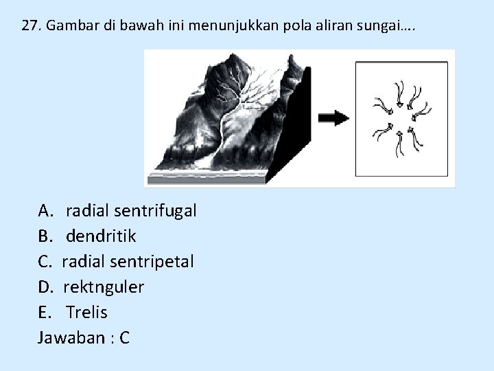 27. Gambar di bawah ini menunjukkan pola aliran sungai…. A. radial sentrifugal B. dendritik