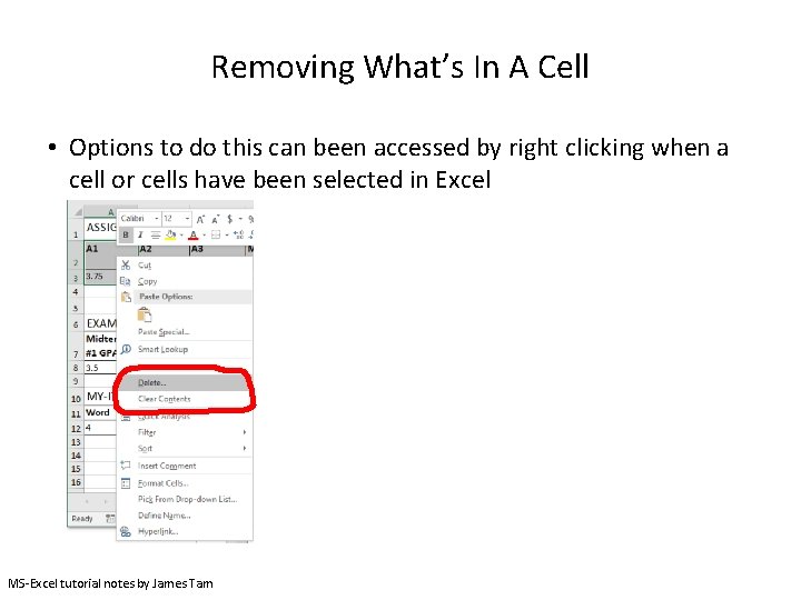 Removing What’s In A Cell • Options to do this can been accessed by