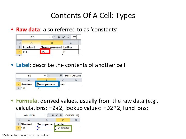 Contents Of A Cell: Types • Raw data: also referred to as ‘constants’ •
