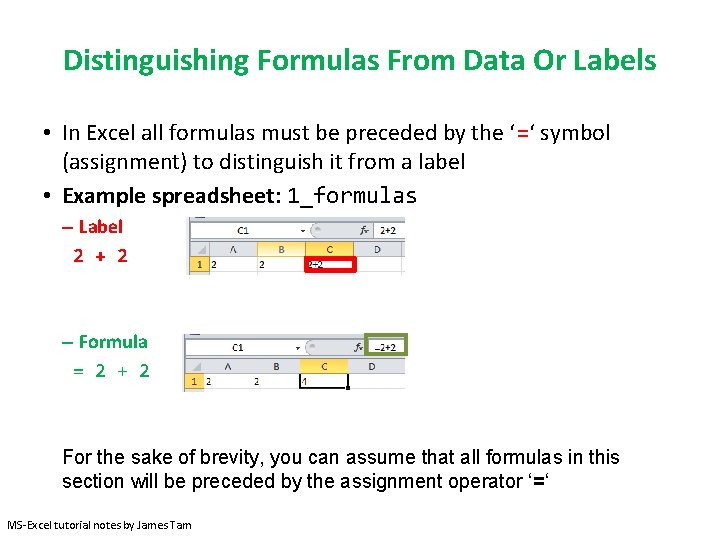 Distinguishing Formulas From Data Or Labels • In Excel all formulas must be preceded