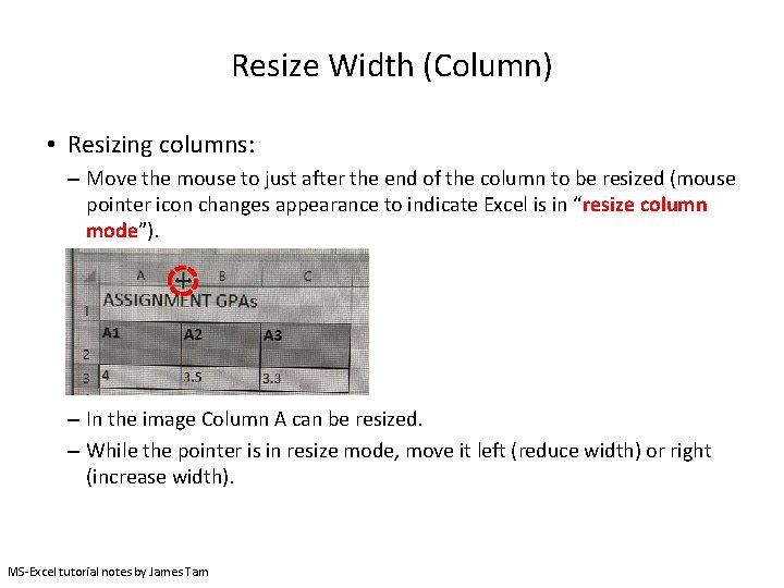 Resize Width (Column) • Resizing columns: – Move the mouse to just after the