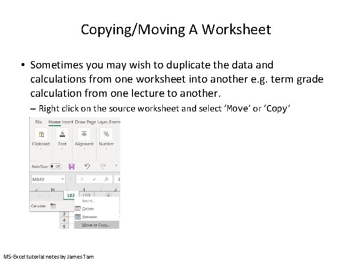 Copying/Moving A Worksheet • Sometimes you may wish to duplicate the data and calculations