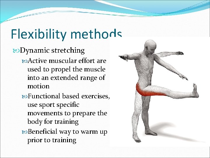 Flexibility methods Dynamic stretching Active muscular effort are used to propel the muscle into