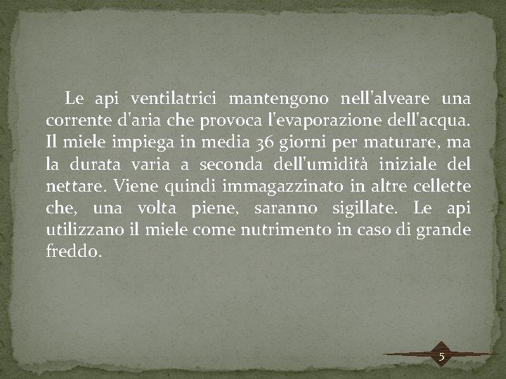 Le api ventilatrici mantengono nell'alveare una corrente d'aria che provoca l'evaporazione dell'acqua. Il miele