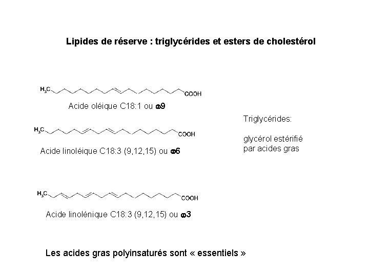 Lipides de réserve : triglycérides et esters de cholestérol Acide oléique C 18: 1