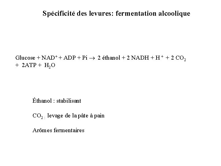 Spécificité des levures: fermentation alcoolique Glucose + NAD+ + ADP + Pi 2 éthanol