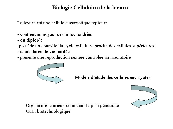 Biologie Cellulaire de la levure La levure est une cellule eucaryotique typique: - contient