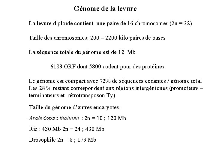 Génome de la levure La levure diploïde contient une paire de 16 chromosomes (2