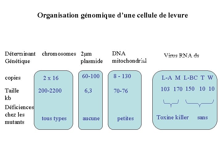 Organisation génomique d’une cellule de levure hérédité mendélienne non mendélienne DNA Déterminant chromosomes 2µm