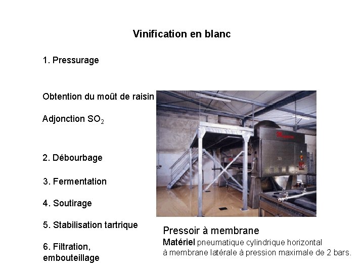 Vinification en blanc 1. Pressurage Obtention du moût de raisin Adjonction SO 2 2.