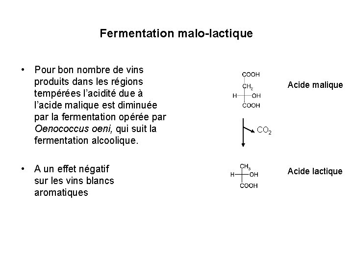 Fermentation malo-lactique • Pour bon nombre de vins produits dans les régions tempérées l’acidité