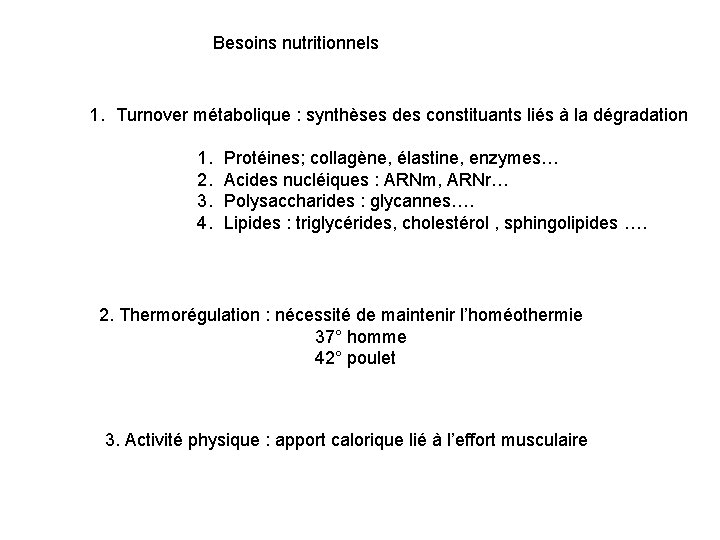 Besoins nutritionnels 1. Turnover métabolique : synthèses des constituants liés à la dégradation 1.