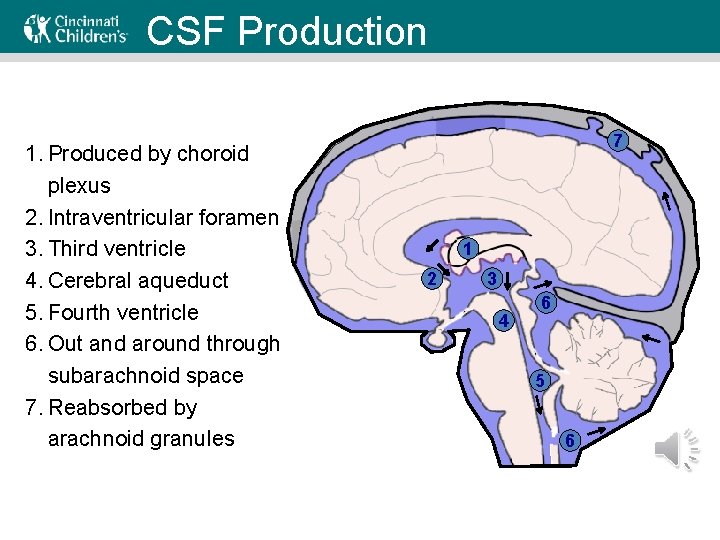 CSF Production CSF Circulation 1. Produced by choroid plexus 2. Intraventricular foramen 3. Third