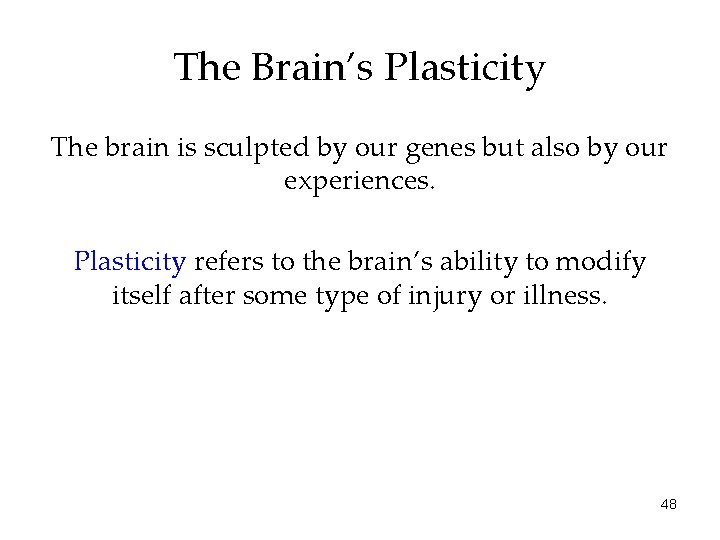 The Brain’s Plasticity The brain is sculpted by our genes but also by our