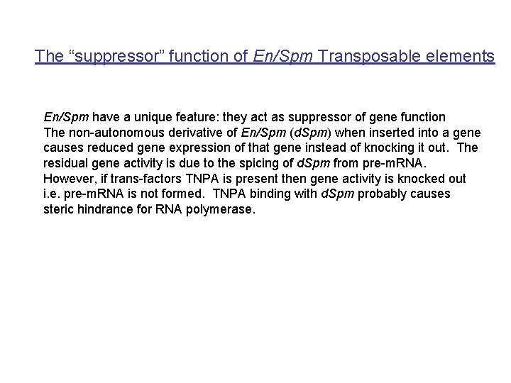 The “suppressor” function of En/Spm Transposable elements En/Spm have a unique feature: they act